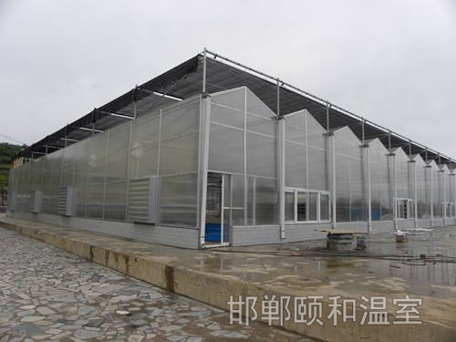 連棟陽(yáng)光板溫室 (11)