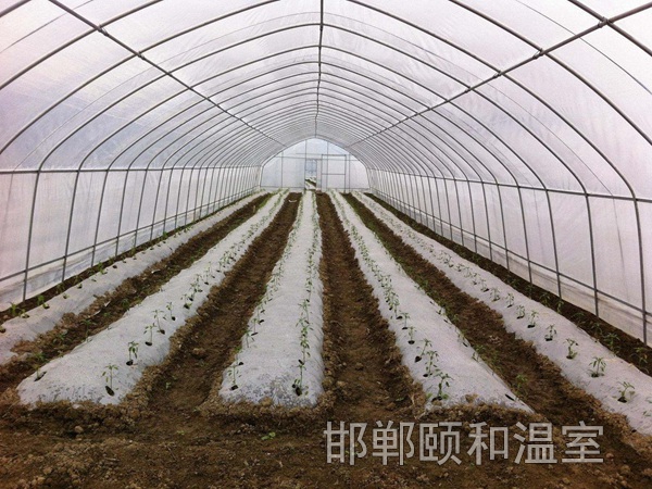 單體溫室 (7)